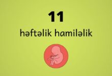 11 heftelik hamilelik