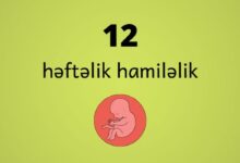 12 heftelik hamilelik