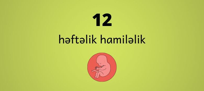 12 heftelik hamilelik