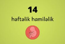 14 heftelik hamilelik