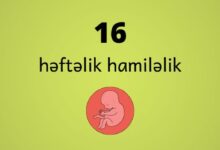 16 heftelik hamilelik