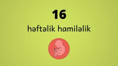 16 heftelik hamilelik