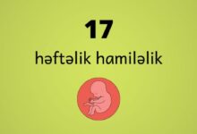 17 heftelik hamilelik