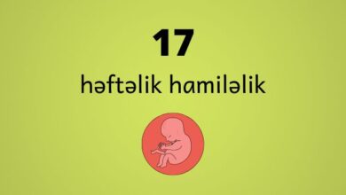 17 heftelik hamilelik