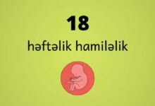 18 heftelik hamilelik