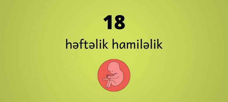 18 heftelik hamilelik