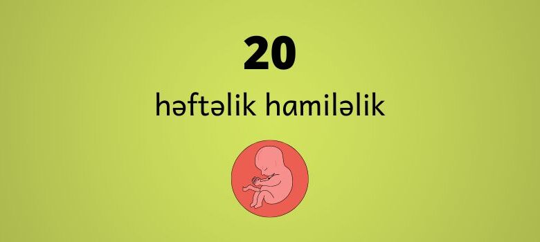 20 heftelik hamilelik