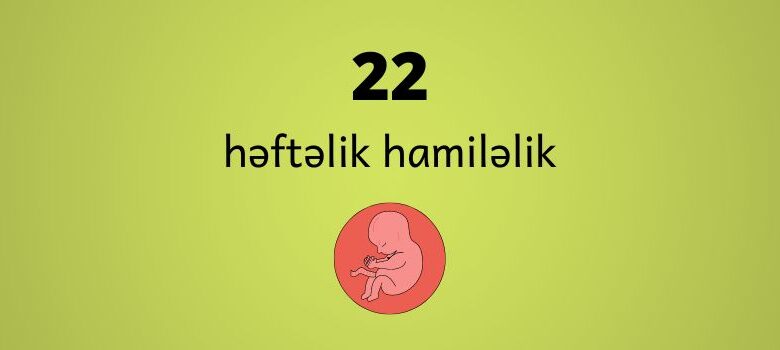 22 heftelik hamilelik