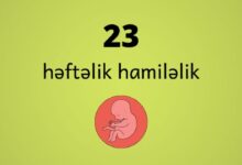 23 heftelik hamilelik