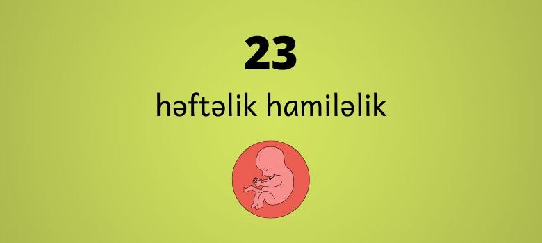 23 heftelik hamilelik