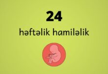 24 heftelik hamilelik
