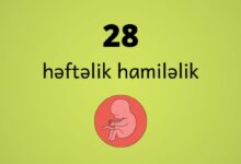 28 heftelik hamilelik