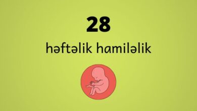 28 heftelik hamilelik