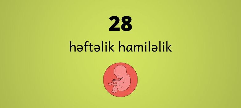 28 heftelik hamilelik