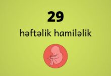 29 heftelik hamilelik