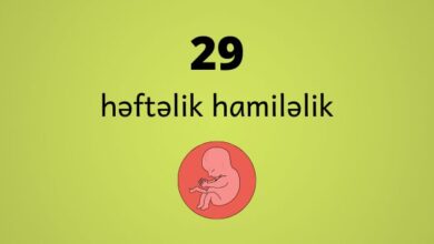 29 heftelik hamilelik