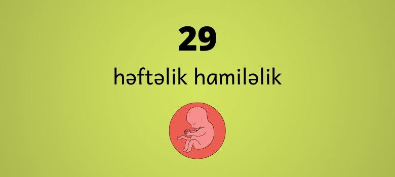 29 heftelik hamilelik