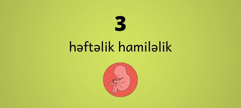 3 heftelik hamilelik