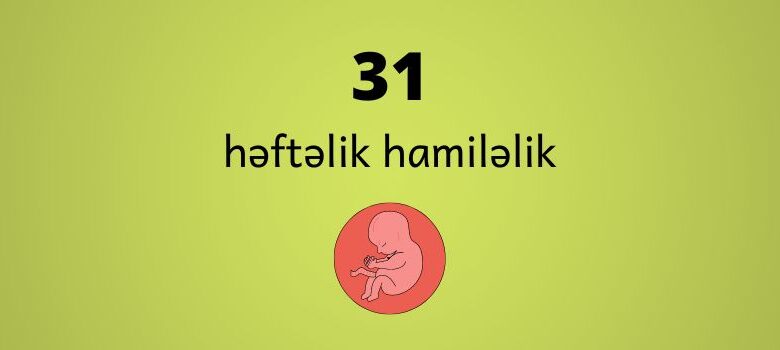 31 heftelik hamilelik