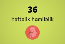 36 heftelik hamilelik
