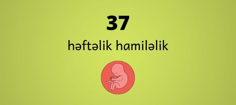 37 heftelik hamilelik
