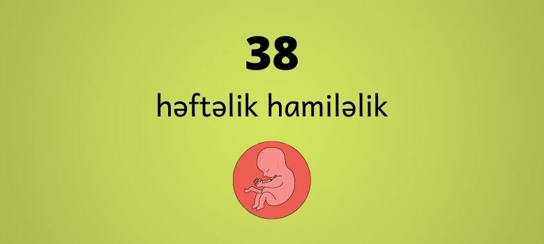 38 heftelik hamilelik