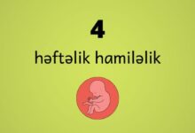 4 heftelik hamilelik