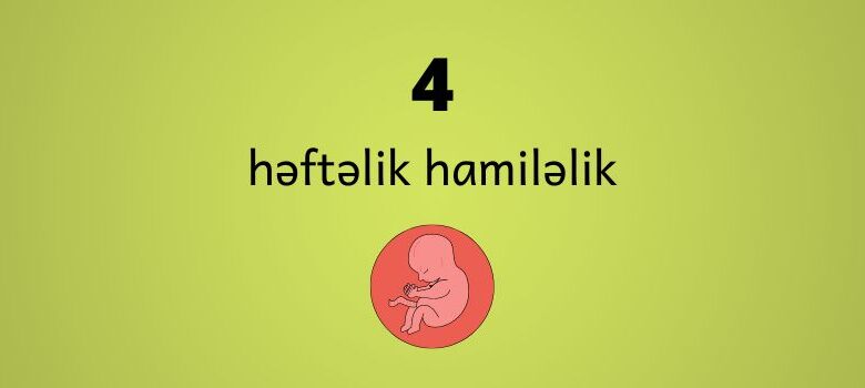 4 heftelik hamilelik