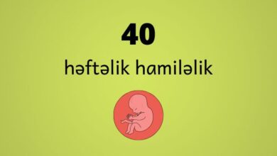 40 heftelik hamilelik