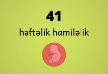 41 heftelik hamilelik