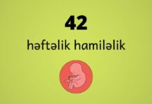 42 heftelik hamilelik
