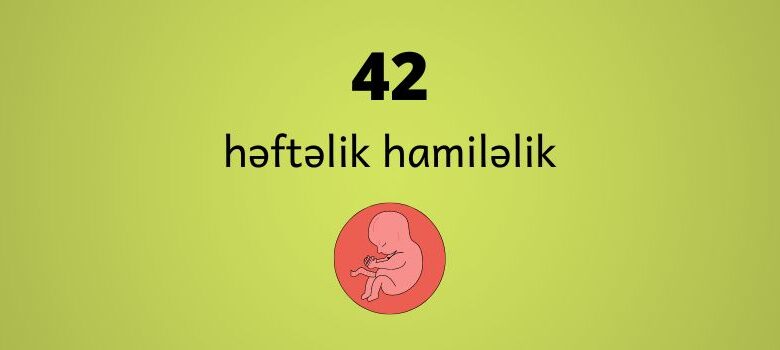 42 heftelik hamilelik