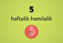 5 heftelik hamilelik