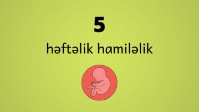 5 heftelik hamilelik