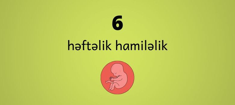 6 heftelik hamilelik
