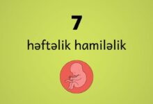 7 heftelik hamilelik