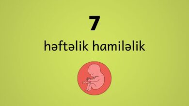 7 heftelik hamilelik