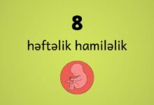 8 heftelik hamilelik
