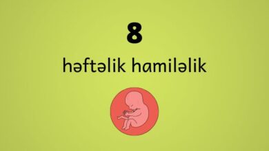 8 heftelik hamilelik