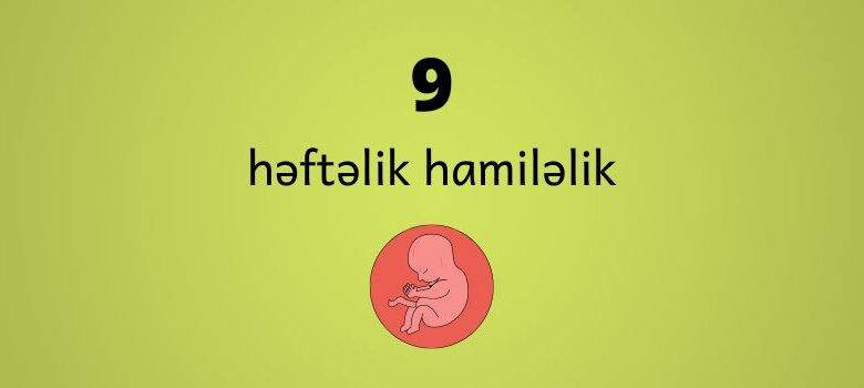 9 heftelik hamilelik