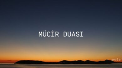 Mucir duasi