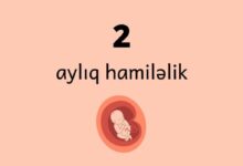 2 ayliq hamilelik