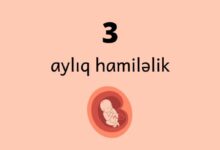 3 ayliq hamilelik