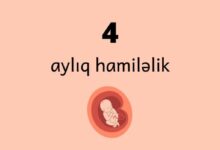 4 ayliq hamilelik