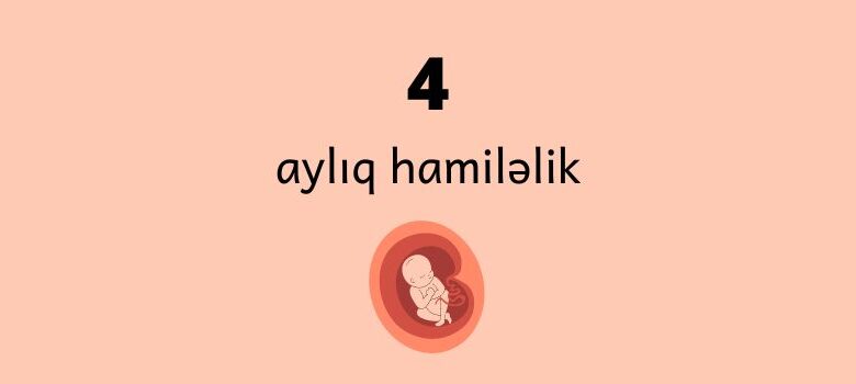 4 ayliq hamilelik