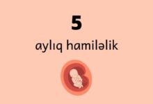 5 ayliq hamilelik