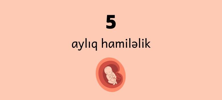 5 ayliq hamilelik