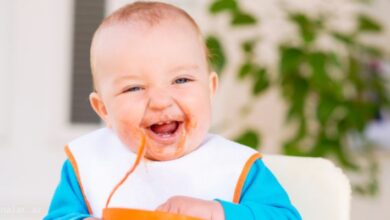 Yeni dogulmus korpenin qidalanmasi