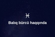 Baliq Burcu Haqqinda