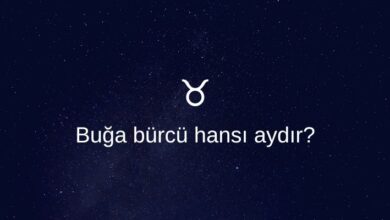 Buga burcu hansi aydir